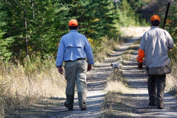 Guiding Grouse Hunters