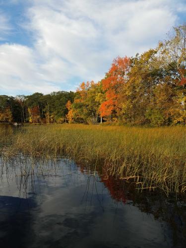 Seven Tree Pond in Union