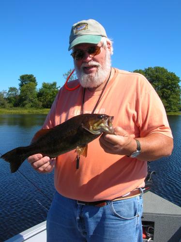 Nice Smallmouth Bass Caught on a Fly