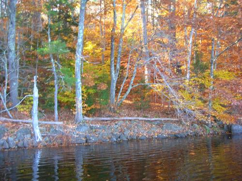 Rust and Gold of Late October