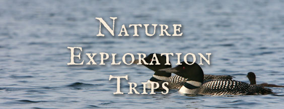 Nature Exploration Trips