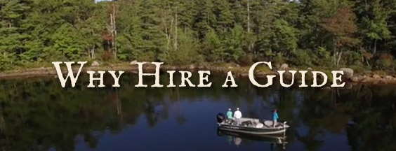 Why Hire A Guide